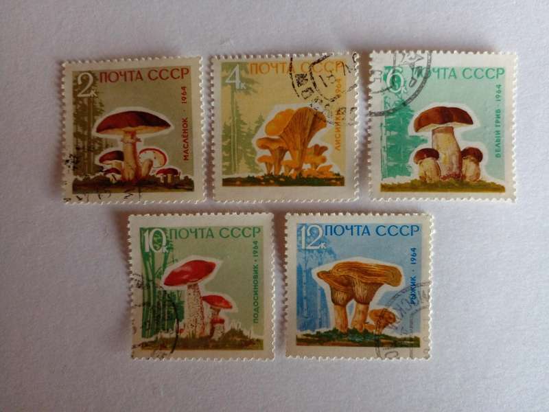 USSR 1964 Mushrooms