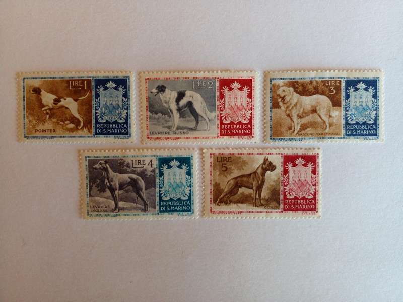 San Marino 1956 Dogs