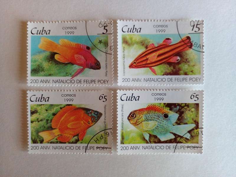 Cuba 1999 Fish