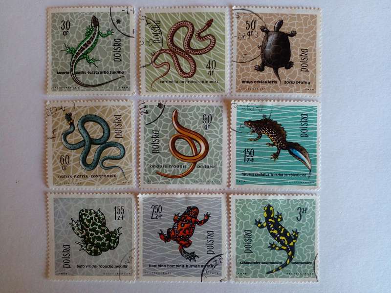 Poland 1963 Protected Reptiles and Amphibians