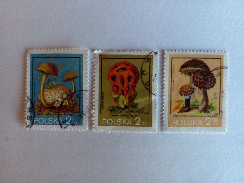 Poland 1980 Mushrooms