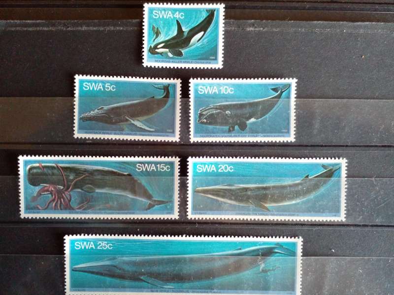 SWA 1980 Whales