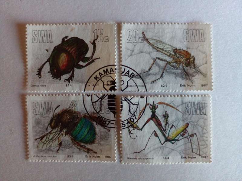SWA 1987 Insects