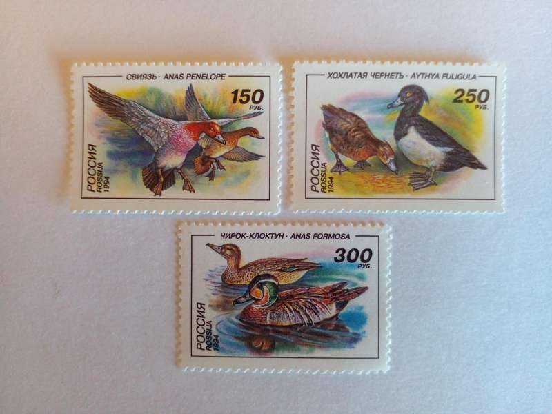Russia 1994 Ducks