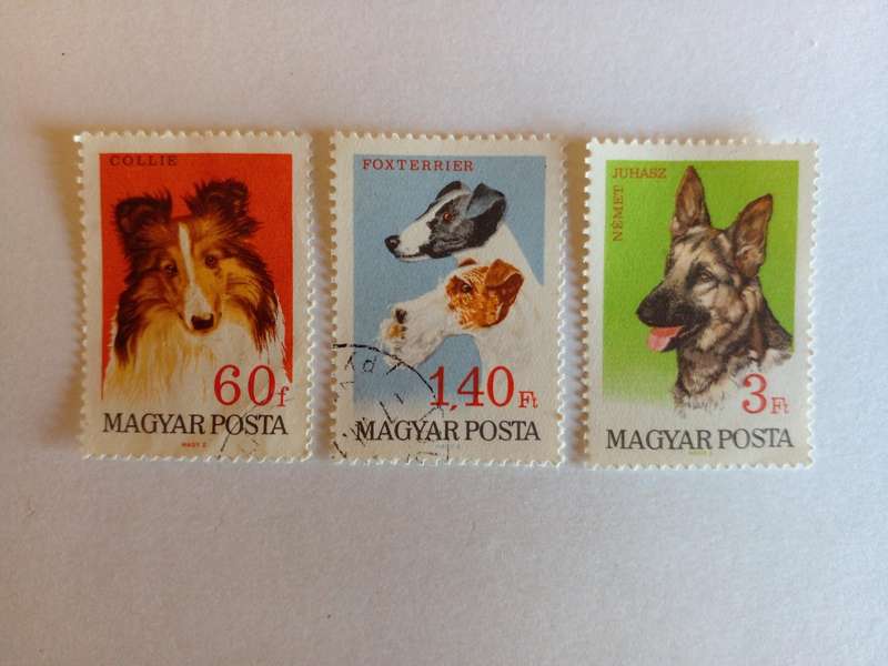 Hungary 1967 Dogs