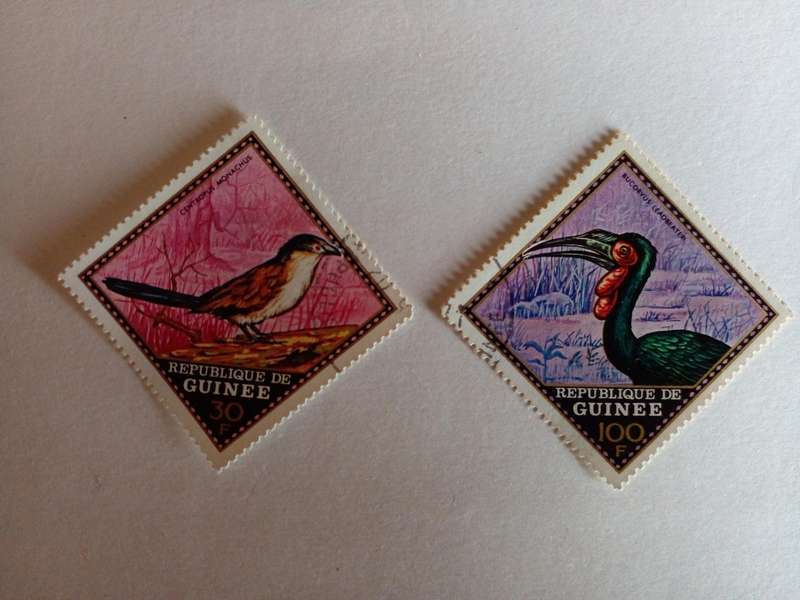 Guinea 1971 Birds
