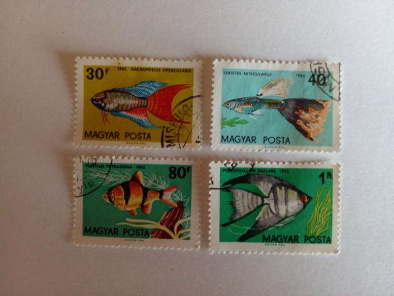 Hungary 1962 Fish