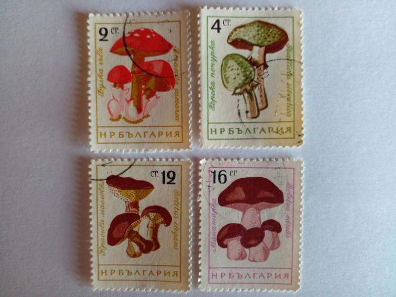 Bulgaria 1961 Mushrooms