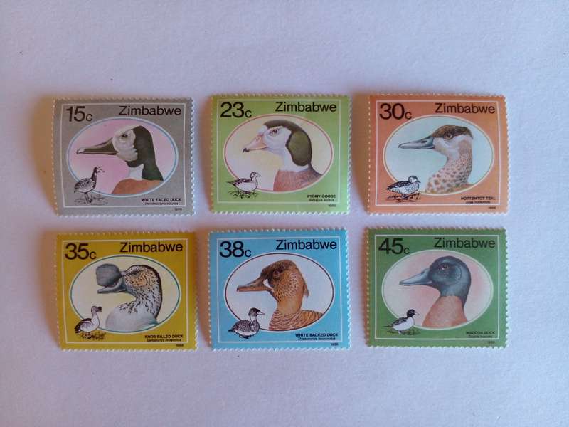 Zimbabwe 1988 Ducks