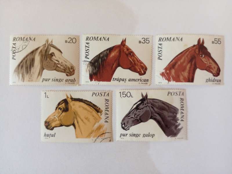 Romania 1970 Horses