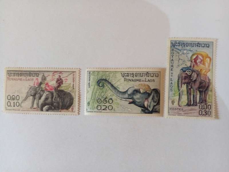 Laos 1958 Elephants