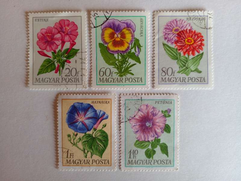 Hungary 1968 Garden Flowers