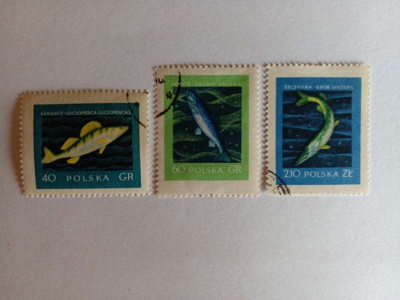 Poland 1958 Fish