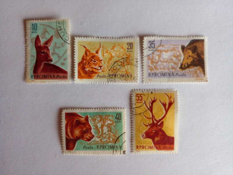 Romania 1961 Game Animals