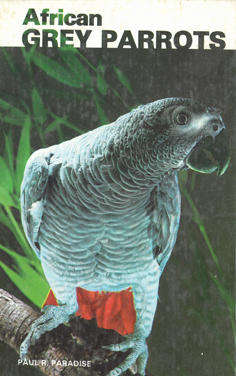 African Grey Parrots.