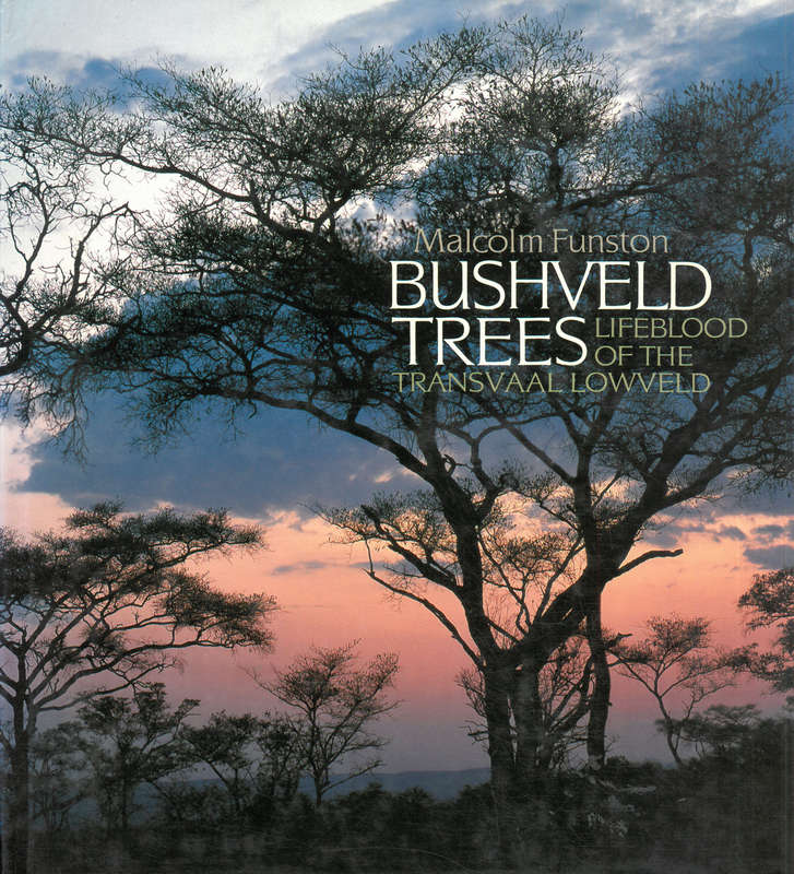 Bushveld Trees. Lifeblood of the Transvaal Lowveld.