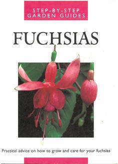 Fuchsias. Practical advice on how to grow and care for your Fuchias.