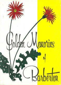 Golden Memories of Barberton. History.