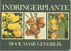 Indringerplante. Mooi maar gevaarlik. Plants.