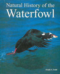 Natural History of the Waterfowl. Birds.