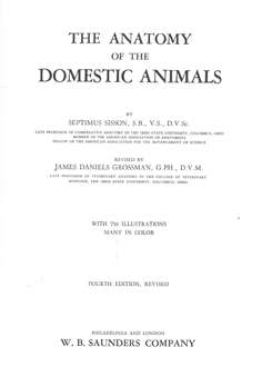 The Anatomy of the Domestic Animals. 4th Edition.