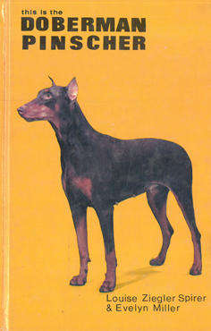 This is the Doberman Pinscher.