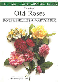 Traditional Old Roses and how to grow them.