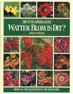 Die Suid-Afrikaanse Watter Blom is dit? K Pienaar.