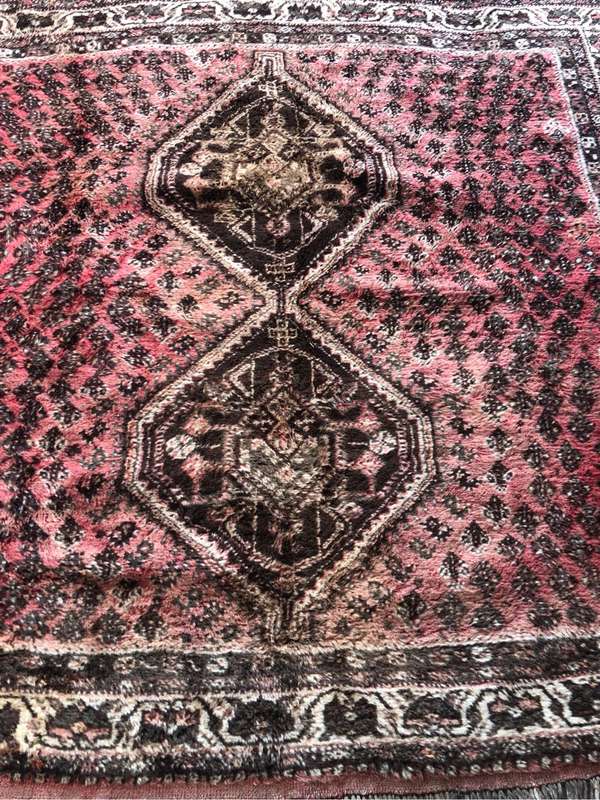 Stunning pure wool hand knotted Shiraz Persian Carpet 192 x 205cm