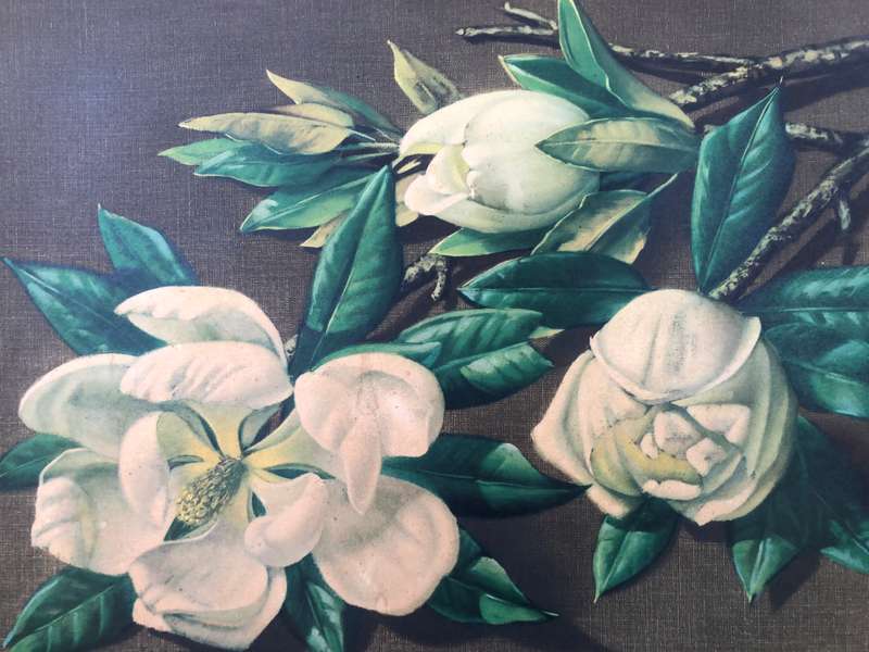 WOW !!! VLADIMIR TRETCHIKOFF (1913-2006) - MAGNOLIAS - LARGE VINTAGE FRAMED PRINT