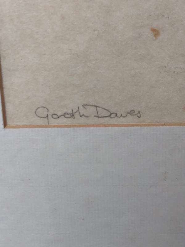 Gareth Davies (20th C) Stunning mixed media framed behind glass