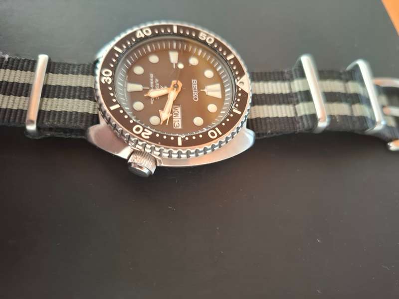 Seiko Turtle Watch