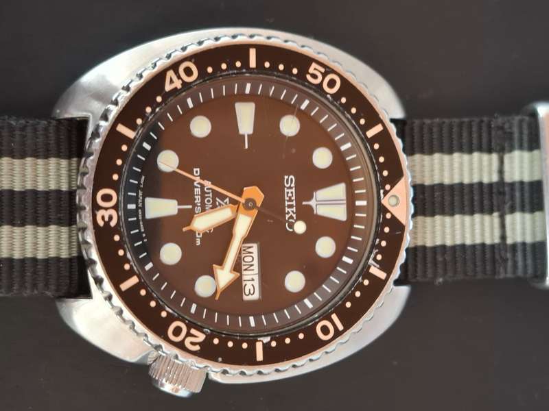 Seiko Turtle Watch
