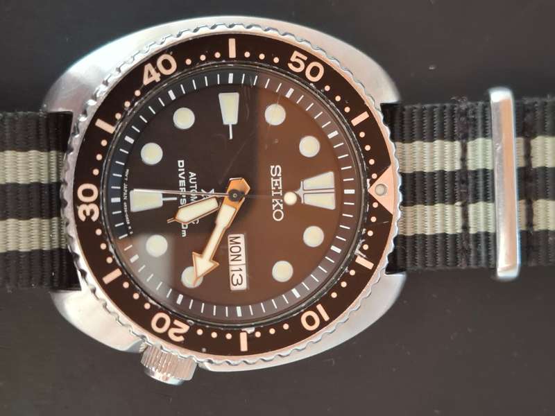 Seiko Turtle Watch