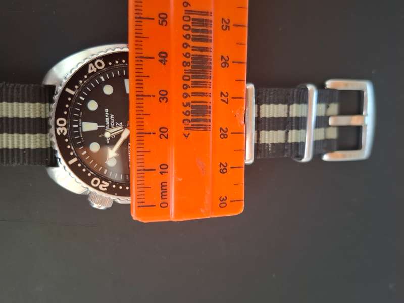 Seiko Turtle Watch