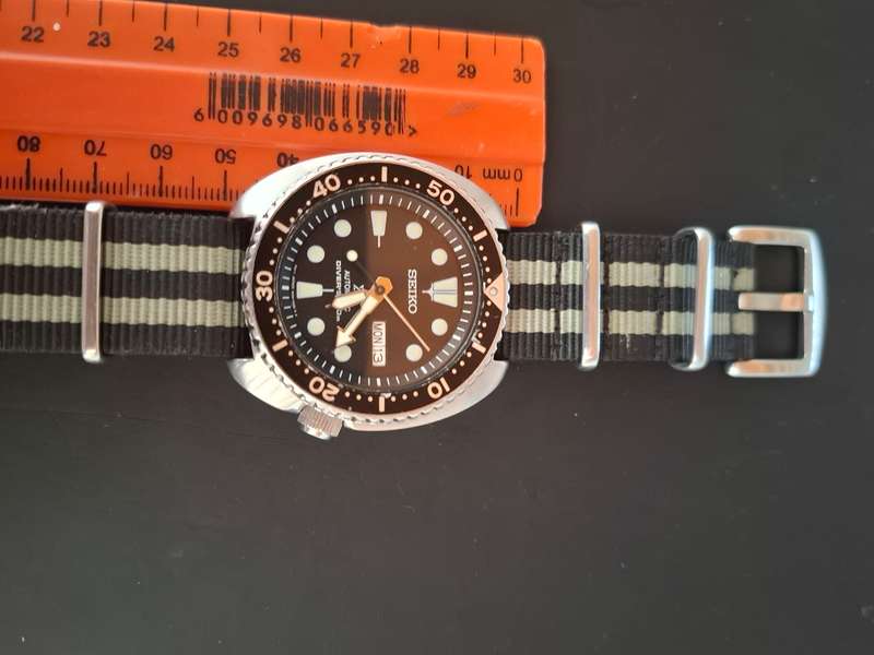 Seiko Turtle Watch
