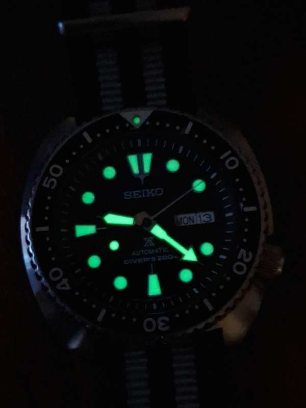Seiko Turtle Watch