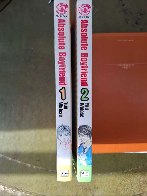 Absolute Boyfriend Manga