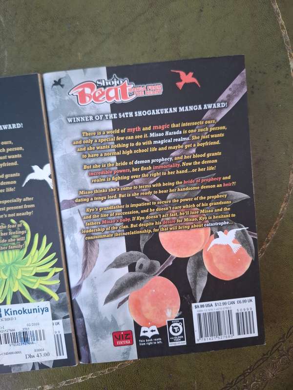black bird Manga