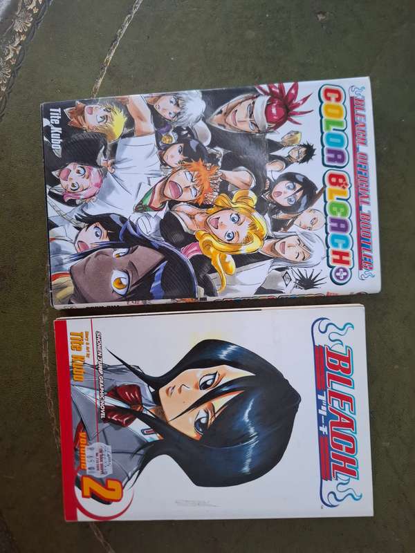 Bleach manga