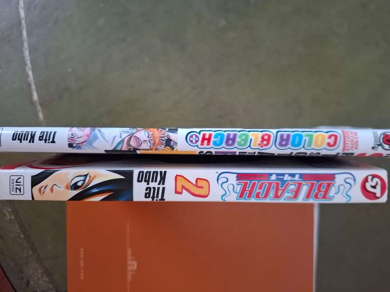 Bleach manga