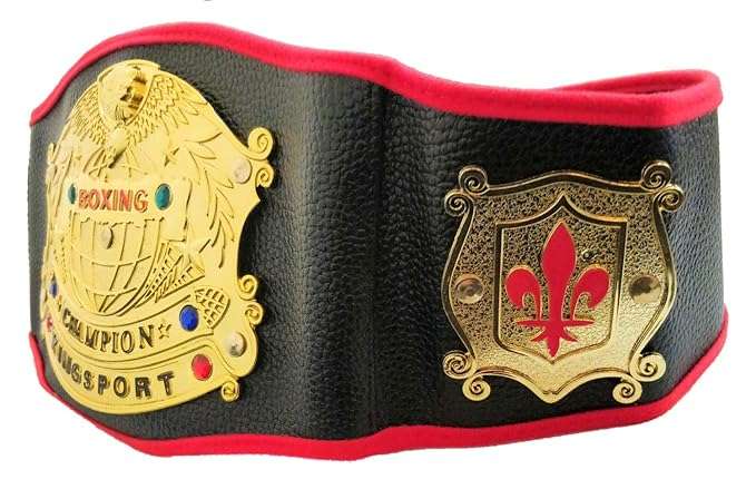 JIADA Plastic Boxing Championship Belt for Kids (Black and Golden, Free Size)
