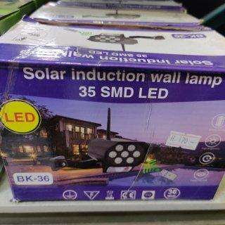 SOLAR INDUCTION LAMP