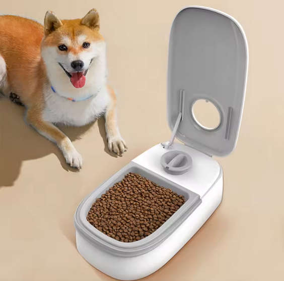 Pet Automatic Timed Feeder Bowl Long Endurance Battery Food Dispenser