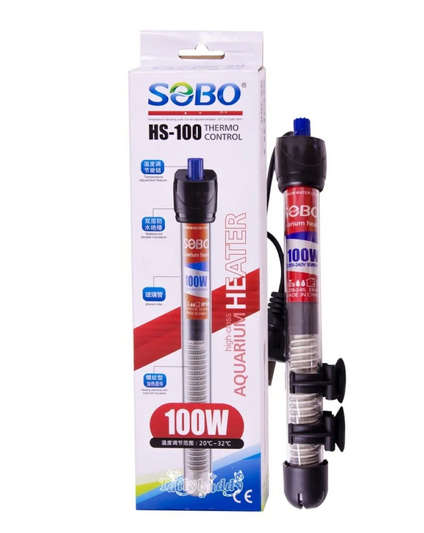 100W Glass Heater