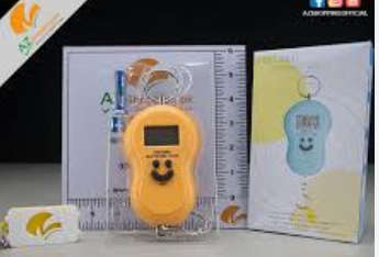 PORTABLE SCALE