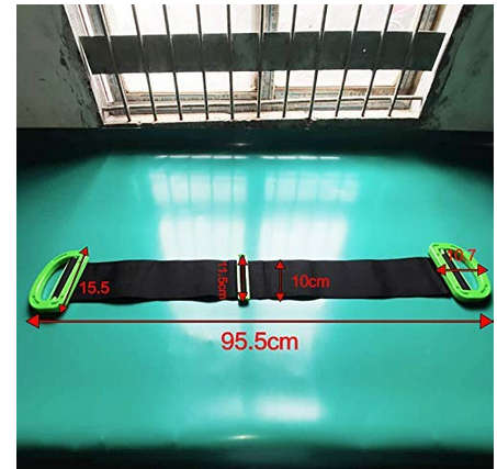 BIZWIZ Store Multifunctional Moving Adjustable Lifting Carrying Transporting Luggage