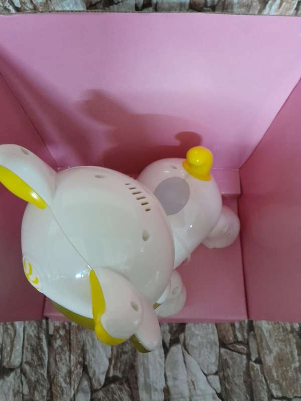 FUN PETS WALKING TOYS
