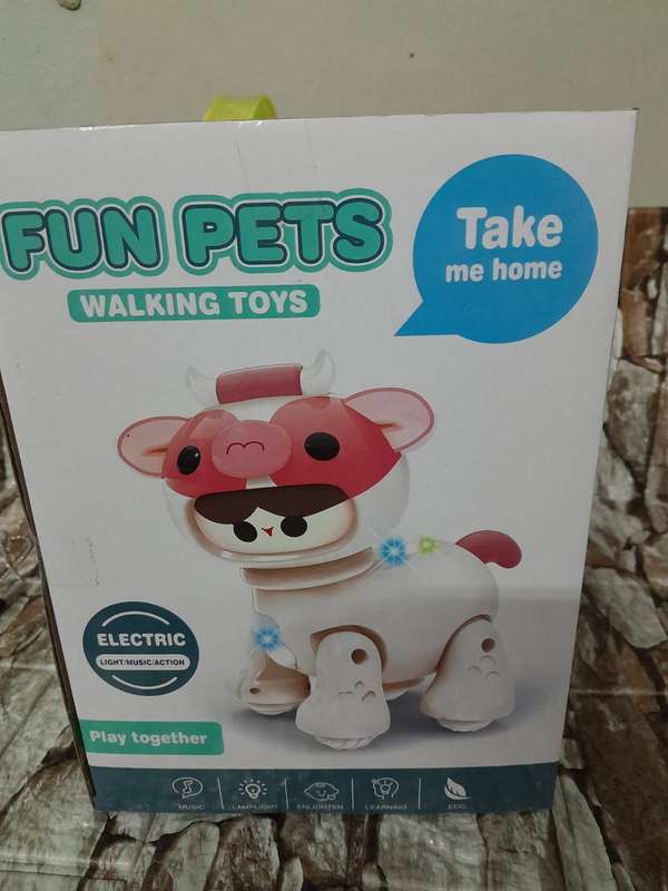 FUN PETS WALKING TOYS