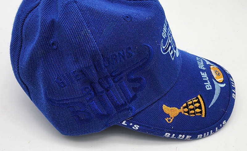 Blue Bulls Cap